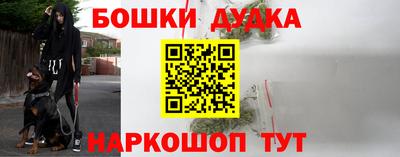 дурь Славгород