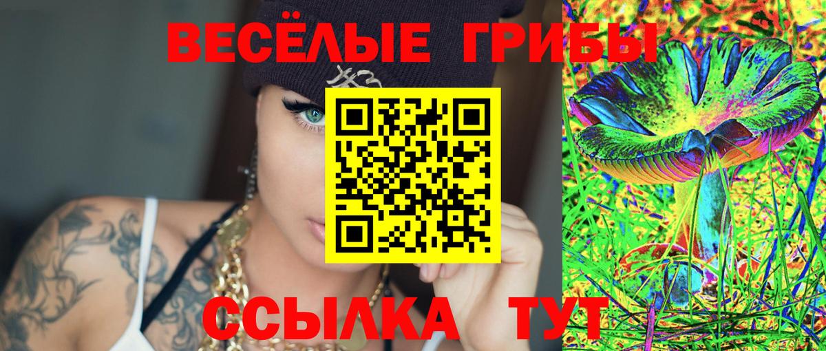 Псилоцибиновые грибы Cubensis Новозыбков